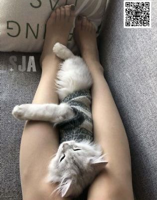 1024国产麻豆_超清高清在线